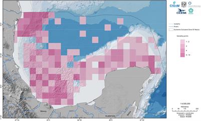 Bacteria From the Southern Gulf of Mexico: Baseline, Diversity, Hydrocarbon-Degrading Potential and Future Applications